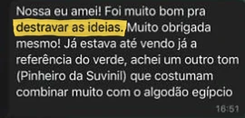 Print de conversa no WhatsApp com a mensagem da cliente: “Nossa eu amei! Foi muito bom pra destravar as ideias.” (cliente da Curva)
